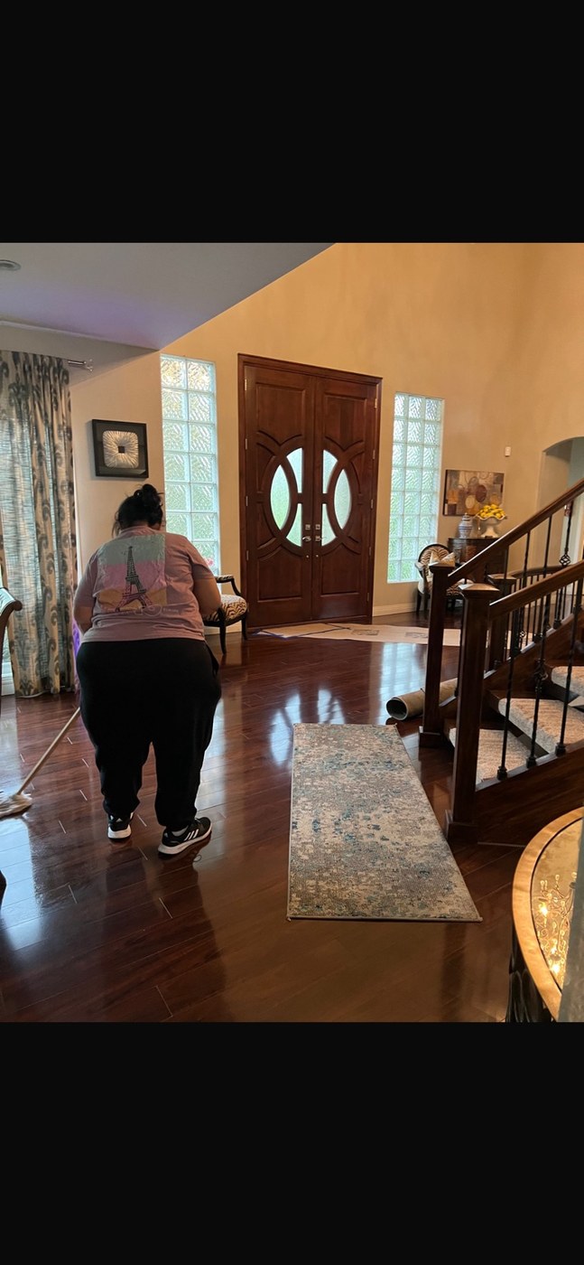 Professional cleaning service